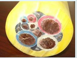 ú�V��10KV�����������|